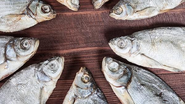 適合做烤魚(yú)的無(wú)刺魚(yú)