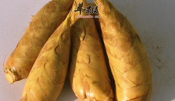 香菇冬笋煲小鸡 滋阴养血健脑益智