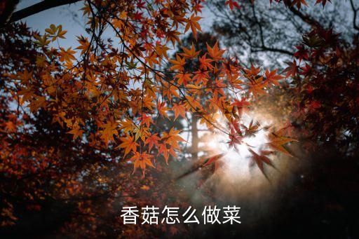  香菇怎么做菜