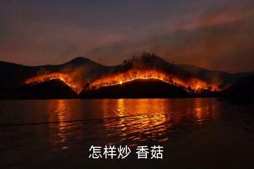 怎樣炒 香菇