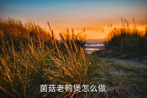 菌菇老鴨煲怎么做