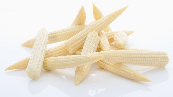 纖維素多的食物是什么