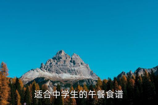适合中学生的午餐食谱