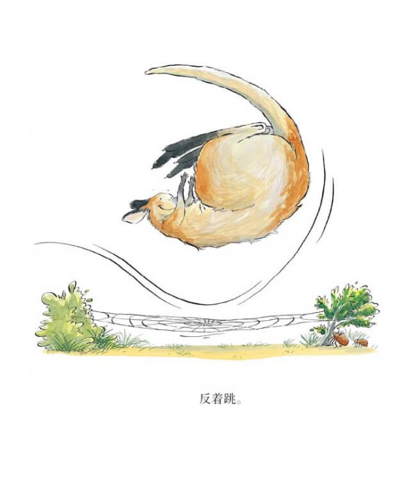 波比是個萬人迷繪本