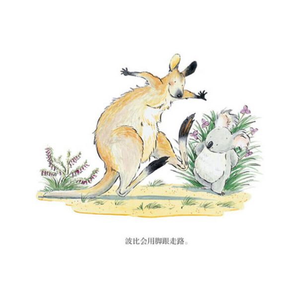 波比是個萬人迷繪本 第3張
