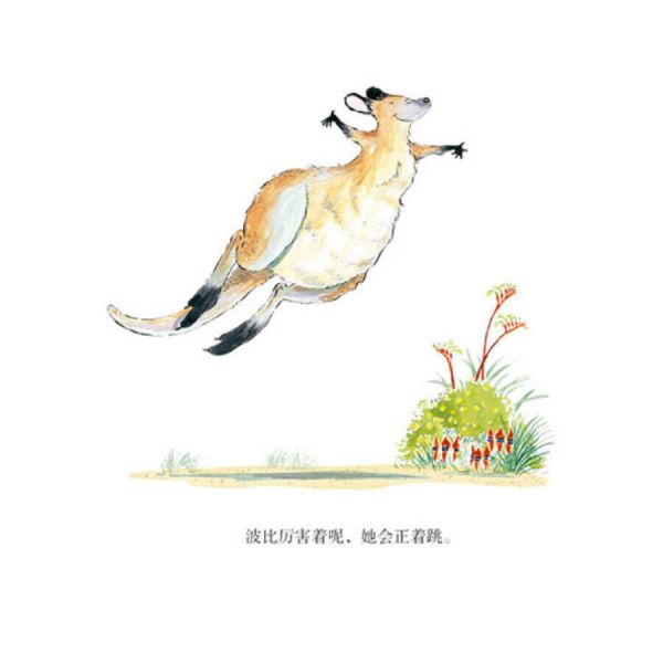 波比是個萬人迷繪本 第4張
