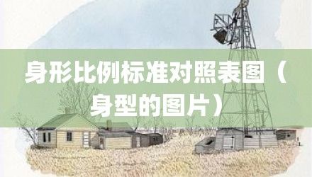 身形比例标准对照表图（身型的图片）