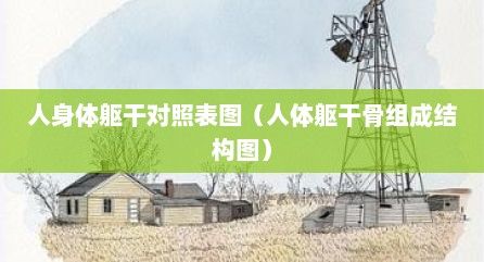 人身体躯干对照表图（人体躯干骨组成结构图）
