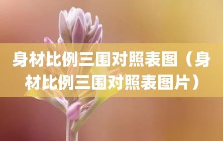 身材比例三围对照表图（身材比例三围对照表图片）
