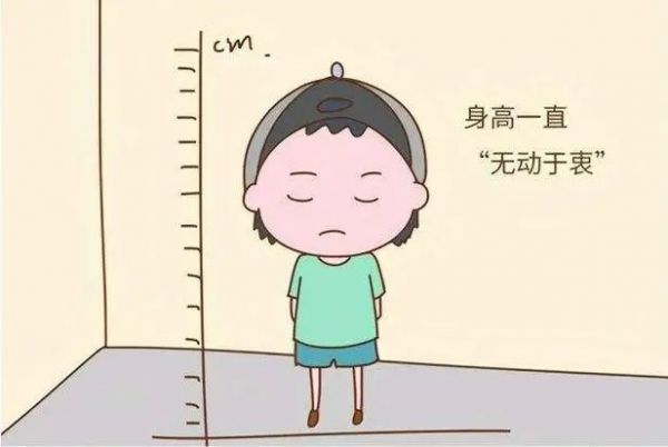身高.jpg