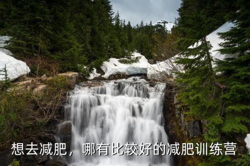 想去減肥，哪有比較好的減肥訓(xùn)練營(yíng)