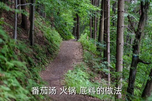  番茄湯 火鍋 底料的做法