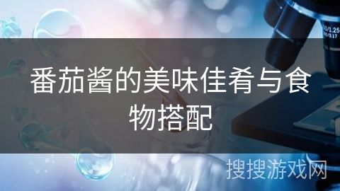番茄酱的美味佳肴与食物搭配