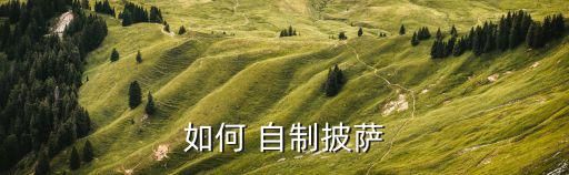 如何 自制披萨