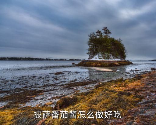 披萨番茄酱怎么做好吃