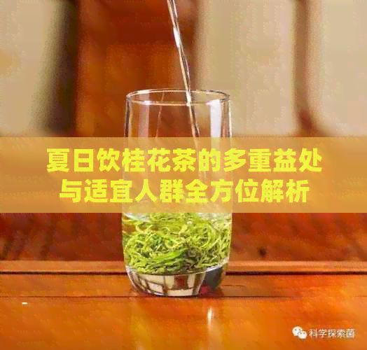 夏日饮桂花茶的多重益处与适宜人群全方位解析