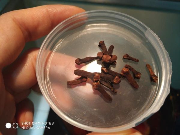 純奶手撕吐司的做法 步驟1