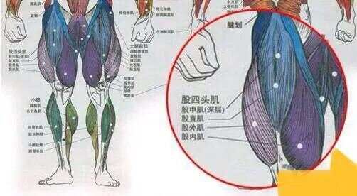 健身腿部训练