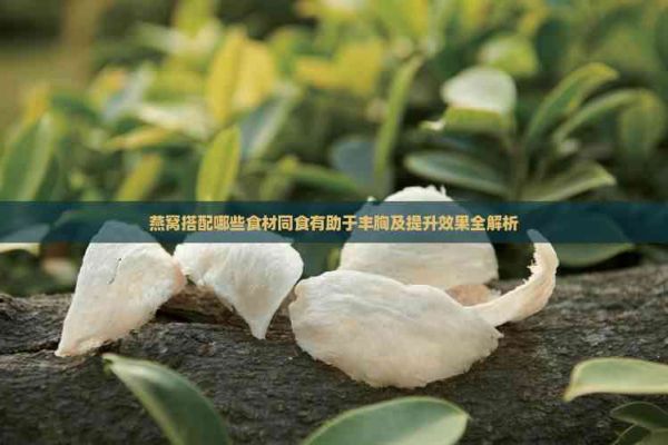 燕窩搭配哪些食材同食有助于豐胸及提升效果全解析