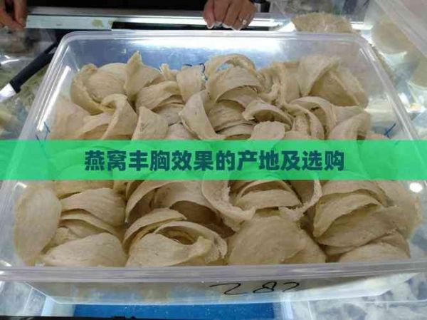燕窩豐胸效果的產(chǎn)地及選購
