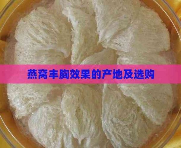 燕窩豐胸效果的產(chǎn)地及選購
