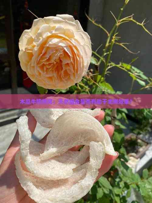 木瓜牛奶燕窝：天然组合是否有助于丰胸效果？