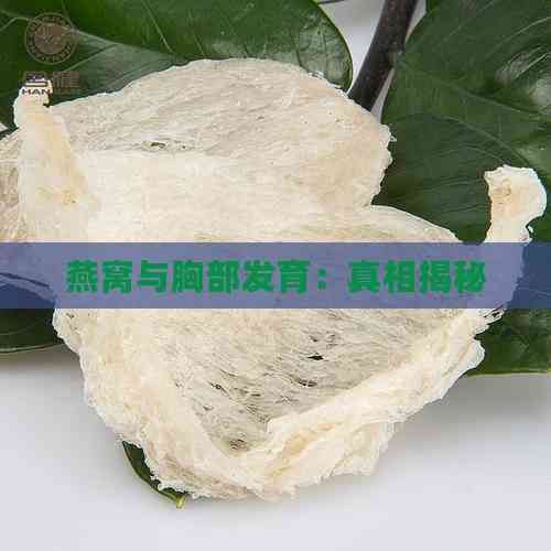 燕窩與胸部發(fā)育：真相揭秘