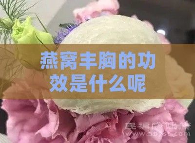燕窝丰胸的功效是什么呢