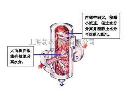 探究燕窩豐胸背后的科學原理及其作用機制