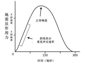 探究燕窩豐胸背后的科學原理及其作用機制