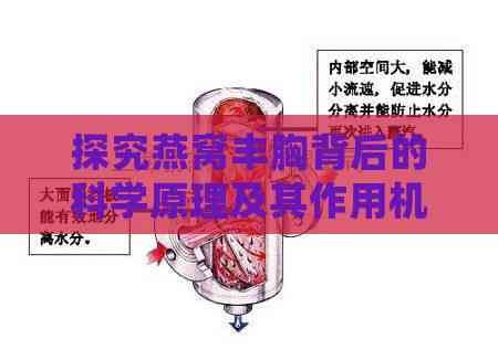 探究燕窩豐胸背后的科學原理及其作用機制
