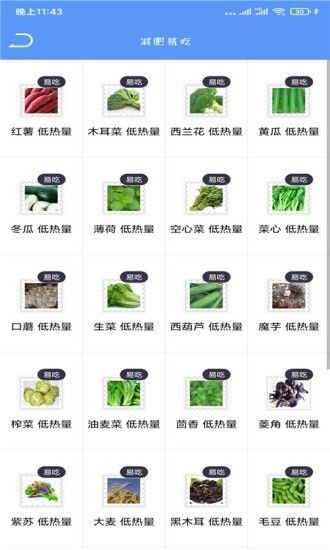 Fit瘦身減肥打卡