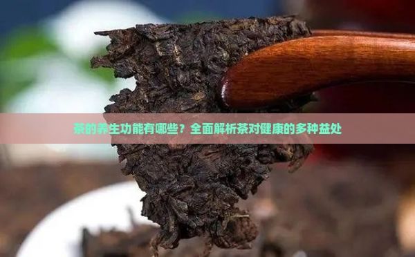 茶的养生功能有哪些？全面解析茶对健康的多种益处