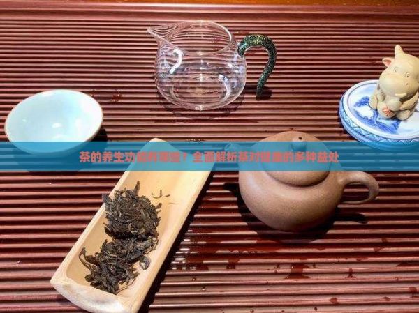 茶的养生功能有哪些？全面解析茶对健康的多种益处