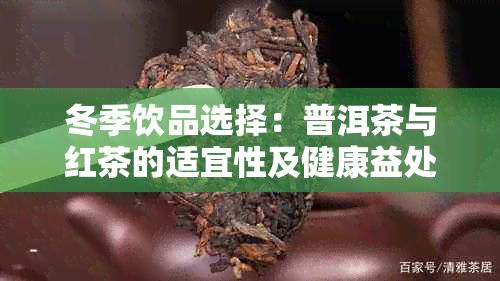 冬季飲品選擇：普洱茶與紅茶的適宜性及健康益處對(duì)比分析