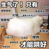 蒙娜麗沙琪瑪