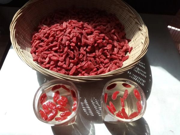 枸杞營養(yǎng)成分圖解