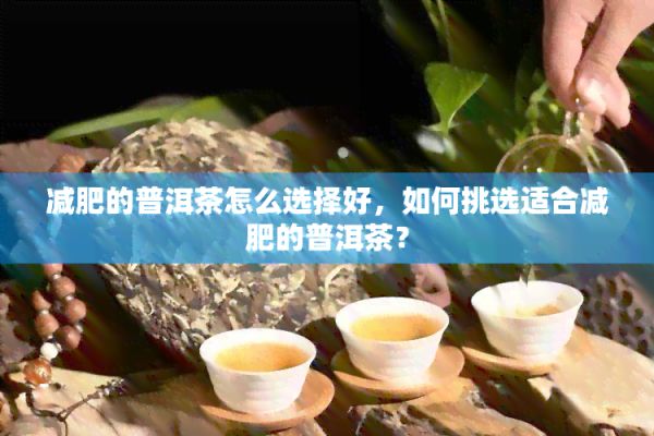 减肥的普洱茶怎么选择好，怎样挑选适合减肥的普洱茶？