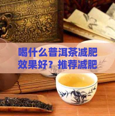 喝什么普洱茶減肥效果好？推薦減肥普洱茶種類與選購指南