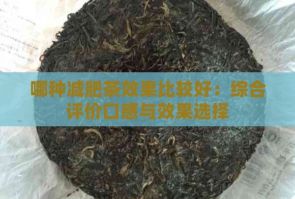 哪種減肥茶效果比較好：綜合評(píng)價(jià)口感與效果選擇