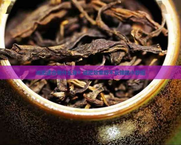 减肥适合喝什么茶？减肥效果好不反弹的小妙招