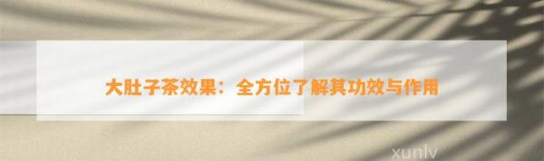 大肚子茶效果：全方位了解其功效與作用