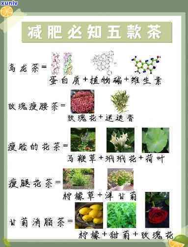 減大肚腩的茶品種推薦及口感評價
