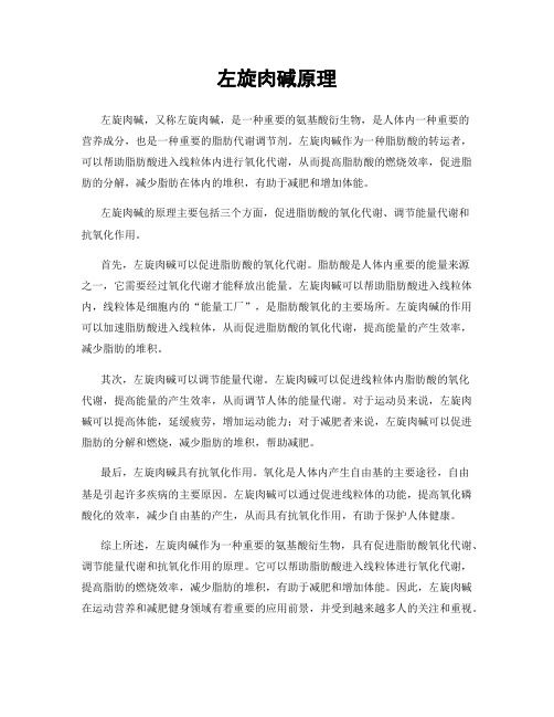 左旋肉堿原理