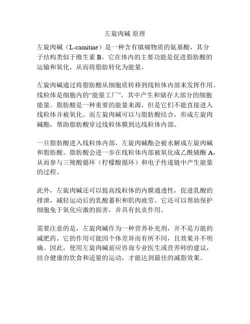 左旋肉堿 原理