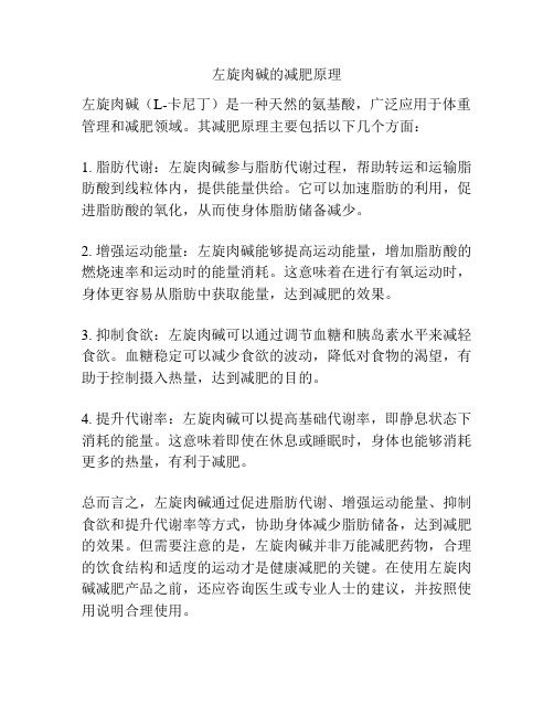 左旋肉堿的減肥原理