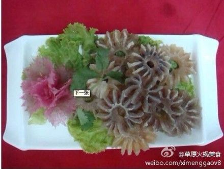 陽寶餃子-深受成功男士寵愛的美食 - 草原美食 - 草原錫蒙羔火鍋美食
