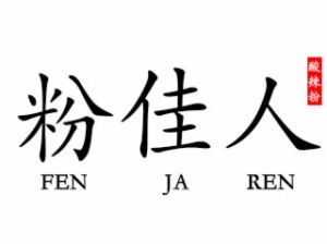 粉佳人酸辣粉