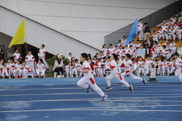 以健體促強(qiáng)心 引導(dǎo)學(xué)生動起來、體質(zhì)好起來 北京市多措并舉上好體育這節(jié)“必修課”