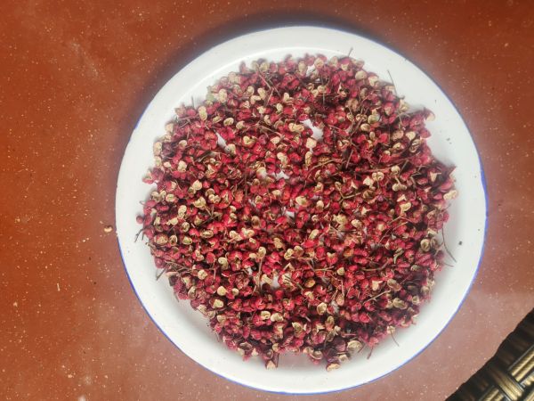 花椒實(shí)物圖